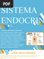 Expo Anatomia