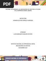 Evidencia Informe Determinar Indicadores Gestion Utilizados en Empresa Donde Labora