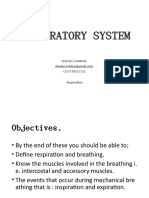 Edited Respiratory System 2