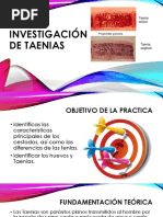 Investigación de Taenias