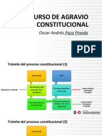 Recurso de Agravio Constitucional. Óscar Pazo.