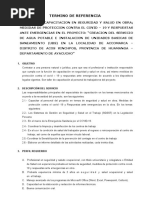 TdR-Servicio Capacitacion en Seguridad y Salud en Obra, Medidas de Proteccion Contra El Covid 19 y Respuestas Ante Emergencias