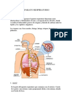 Aparato Respiratorio