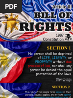 LESSON 2 - BILL OF RIGHTS (wk3-4)