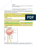 4-1 Membrana Plasmática y Citoplasma