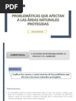 Problemas Que Afectan Las Áreas Naturales Protegidas