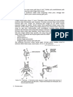 No. 4 DK13