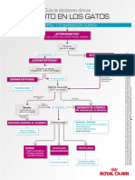 Guia de Decision Prurito en Gatos