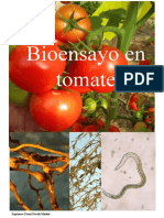 Experimento Del Tomate