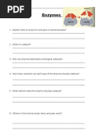 Enzyme Worksheet