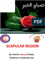 5-Scapular Region