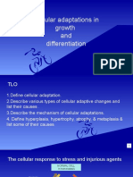 3 Cellular Adaptation and Differentiation