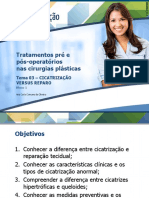 Tratamentos Pré e Pós-Operatórios Nas Cirurgias Plásticas: Tema 03 - Cicatrização Versus Reparo