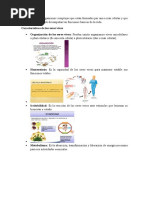 Irritabilidad y Movimiento de Los Seres Vivos