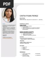 CV - Cintia Puma Perez