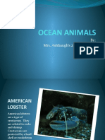 Ocean Animals