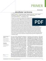 Primer: Hepatocellular Carcinoma