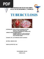 Informe de La Tuberculosis