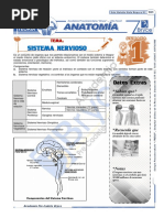 Anatomia Guía Repaso 2-P1 Anual 2022