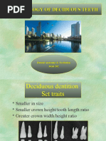 Morphology of Deciduous Dentition