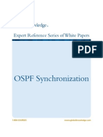 OSPF Synchronization: Expert Reference Series of White Papers