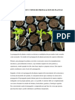 La Propagacion y Tipos de Propagacion de Plantas