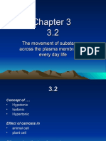 The Movement of Substances Across The Plasma Membrane in Every Day Life