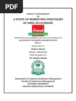 A Study of Marketing Strategies of Amul in Lucknow: Summer Training Report On