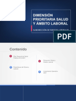 Inducción Dimension Salud y Am Laboral