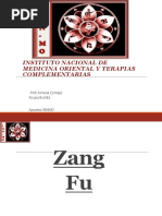 Teoria de Los Zang Fu Xin-fei-pi-Shèn.