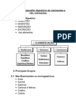 Anatomia Do Aparelho Digestório de Ruminantes e Não Ruminantes