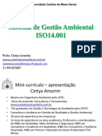 Sistema de Gestão Ambiental ISO 14001 2015 SGA PRofa Cintya Amorim 2020-1