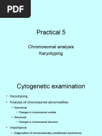 Practical 5: Chromosomal Analysis Karyotyping