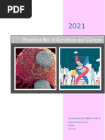 Laboratorio Biologia Del Cancer