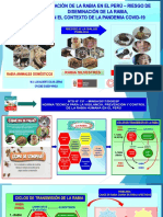 Situacion Rabia Riesgo Diseminación 2021 Diris Lima Sur