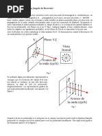 Polarizacion Por Reflexion Angulo de Brewster