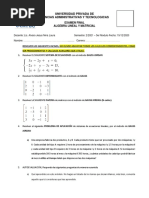 XcMFG-Examen Final Algebra Lineal y Matricial