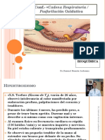 Cadena Respiratoria y F.ox.