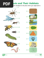 T T 5109 Minibeasts and Their Habitats Activity Sheet Ver 4