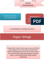 Biofisika (Pendengaran)