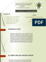 Grupo 12 (Proceso de Principio de Oportunidad)