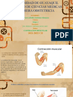 Contracion Muscular Diapositivas