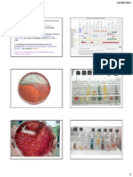 Unidad 1 TABLAS IDENTIF CON FOTOS 2017 A GUÍA B