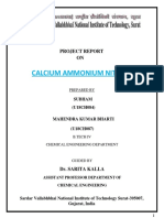 01calcium Ammonium Nitrate