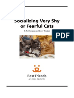 Socializing Very Shy or Fearful Cats: by Terri Gonzales and Sherry Woodard