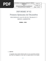 Informe - Primera Quincena de Diciembre