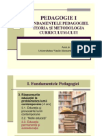 Curs 7 PedagogieI Mata