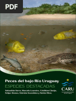 .Uywebpdfs publicacionesPeces20del20bajo20Rio20Uruguay20para20web2021112019 PDF