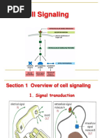 Cell Signlaing 1