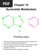 Nucleotide Metabolism